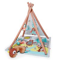 Skip Hop Baby Infant and Toddler Camping Cubs Activity Gym and Playmat, Multi