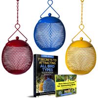 Backyard Expressions - Set of 3 Bird Feeders for Outdoors Squirrel Proof - Bonus Ebook and Bird Attraction Audio Included