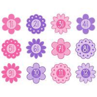 Tiny Ideas First Year Monthly Milestone Flowers Photo Sharing Baby Belly Stickers, 1-12 Months, Pink