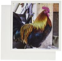 3dRose Rooster - Greeting Cards, 6 x 6 inches, set of 12 (gc_21079_2)