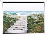 VIVO 100 inch Electric Projector Screen, Motorized, Auto Remote | 4:3 Projection Mount 80x60 inch (PS-E-100V)
