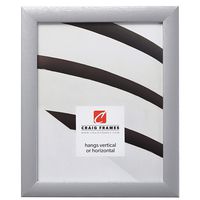 Craig Frames 23247018 Picture Frame, 4 x 6 Inch, Brushed Silver