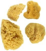 Natural Ocean Artist Sponges, 3 Silk/1 Jumbo, 4/pkg