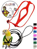 The AVIATOR Pet Bird Harness and Leash: X-Small Red