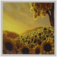 3dRose Sunflower sunset, yellow, brown - Greeting Cards, 6 x 6 inches, set of 12 (gc_66302_2)