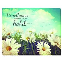 Advantus Canvas Motivational Print, Excellence, 22 x 28 Inches, Multicolored (78093)