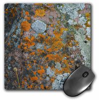 3dRose LLC 8 x 8 x 0.25 Inches Mouse Pad, Lichens at Thule Archaeological Site (mp_37684_1)
