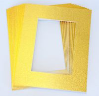 Pack of 10 GOLD 16x20 Picture Mats Matting with White Core Bevel Cut for 11x14 Pictures