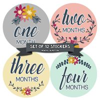 Months In Motion Baby Girl Monthly Milestone Stickers - Onesie Month Sticker - Infant Photo Prop for First Year - Shower Gift - Newborn Keepsakes