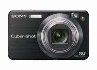 Sony Cybershot DSCW170/B 10.1MP Digital Camera with 5x Optical Zoom with Super Steady Shot (Black)