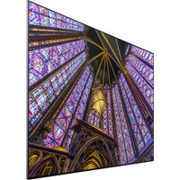 54.6INCH/QLED/3840X2160/6MS/600 NITS/Display Port 1.2 (1), HDMI 2.0 (2), HDCP2.2 (QH55H)