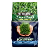 Pennington Smart Tall Fescue Grass Seed, 3 Pounds, Green