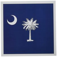 3dRose State Flag of South Carolina (PD-US) - Greeting Cards, 6 x 6 inches, set of 12 (gc_55323_2)