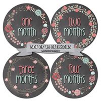 Months in Motion Baby Monthly Stickers - Baby Milestone Stickers - Newborn Girl Stickers - Month Stickers for Baby Girl - Baby Girl Stickers - Newborn Monthly Milestone - Floral Chalkboard - Style 392
