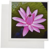 3dRose Decorative colorful garden botanic classic plant water lily green red flower - Greeting Cards, 6 x 6 inches, set of 12 (gc_128195_2)