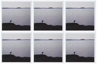 3dRose A seagull dreams photograph - Greeting Cards, 6 x 6 inches, set of 6 (gc_19248_1)
