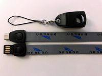 USB Type-C to USB-A 2.0 Charging Cable Compatible with Samsung Galaxy S10 S9 S8 Plus Note 9 8,Moto Z,LG V40 V30,Nintendo Switch, Converts to ID Lanyard with Printed Ruler Marking (Dragon)