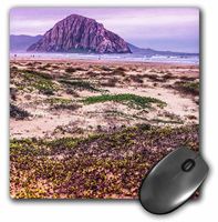 3Drose LLC 8 X 8 X 0.25 Inches Mouse Pad, Morro Rock and Bay (Mp_110807_1)