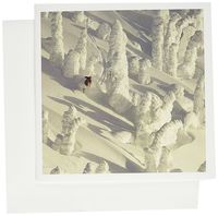 3dRose Alpine Skier, snowghosts, Big Mountain Resort, MT - US27 CHA1368 - Chuck Haney - Greeting Cards, 6 x 6 inches, set of 12 (gc_91764_2)