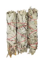 Alternative Imagination Premium, 7 Inch California White Sage Smudge Sticks.