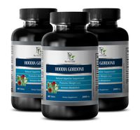 Lose Weight Men - Pure HOODIA GORDONII Extract 2000mg - Hoodia hoodia gordonii suppressant Extract - 3 Bottles 180 Tablets