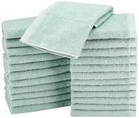 AmazonBasics Terry Cotton Washcloths - Pack of 24, Seafoam Green