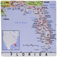 3drose Print of Florida Cities and State Map - Mouse Pad