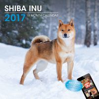 LittleGifts Shiba Inu 2017 Calendar (3066)