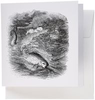 3dRose Print of Black and White Sketch of Narwhal Whale Greeting Cards, Set of 12 (gc_195011_2)