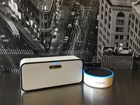 Bass Effect Audio XV (Orange) Wireless Bluetooth Hands-Free Speaker with Clear Talk Mic