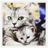 3dRose Cats - Greeting Cards, 6 x 6 inches, set of 12 (gc_304_2)