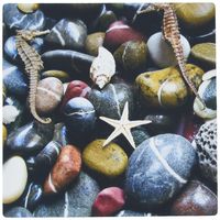 3Drose LLC 8 X 8 X 0.25 Inches Mouse Pad, Seahorses Shells N Stones (Mp_109993_1)