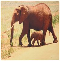 3drose Print of African Elephant with Her Baby - Mouse Pad