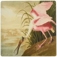 3dRose 8 x 8 x 0.25 Inches Mouse Pad, John J Audubon Painting of A Roseate Spoonbill Bird (mp_119772_1)