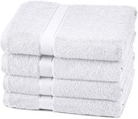 Pinzon 4 Piece Egyptian Cotton Bath Towels Set - White