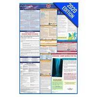FL Labor Law Poster, 2020 Edition - State, Federal and OSHA Compliant Laminated Poster (Florida, English)
