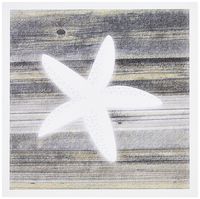 3dRose image of white starfish on weathered board - Greeting Cards, 6 x 6 inches, set of 12 (gc_173896_2)