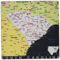 3dRose LLC 8 X 8 X 0.25 Inches Mouse Pad Print of State of South Carolina Map in Exotic for m (Mp_182345_1)