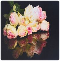 3dRose LLC 8 x 8 x 0.25 Inches Mouse Pad, Pink Tea Roses Reflection (mp_157535_1)