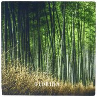 3dRose 8 x 8 x 0.25 Inches Mouse Pad, Bamboo Forest in South Florida (mp_101701_1)