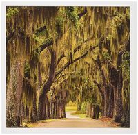 3dRose USA, Georgia, Savannah, Bethesda School Greeting Cards, 6" x 6", Set of 12 (gc_191172_2)