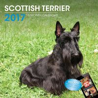 LittleGifts Scottish Terrier 2017 Calendar (3064)